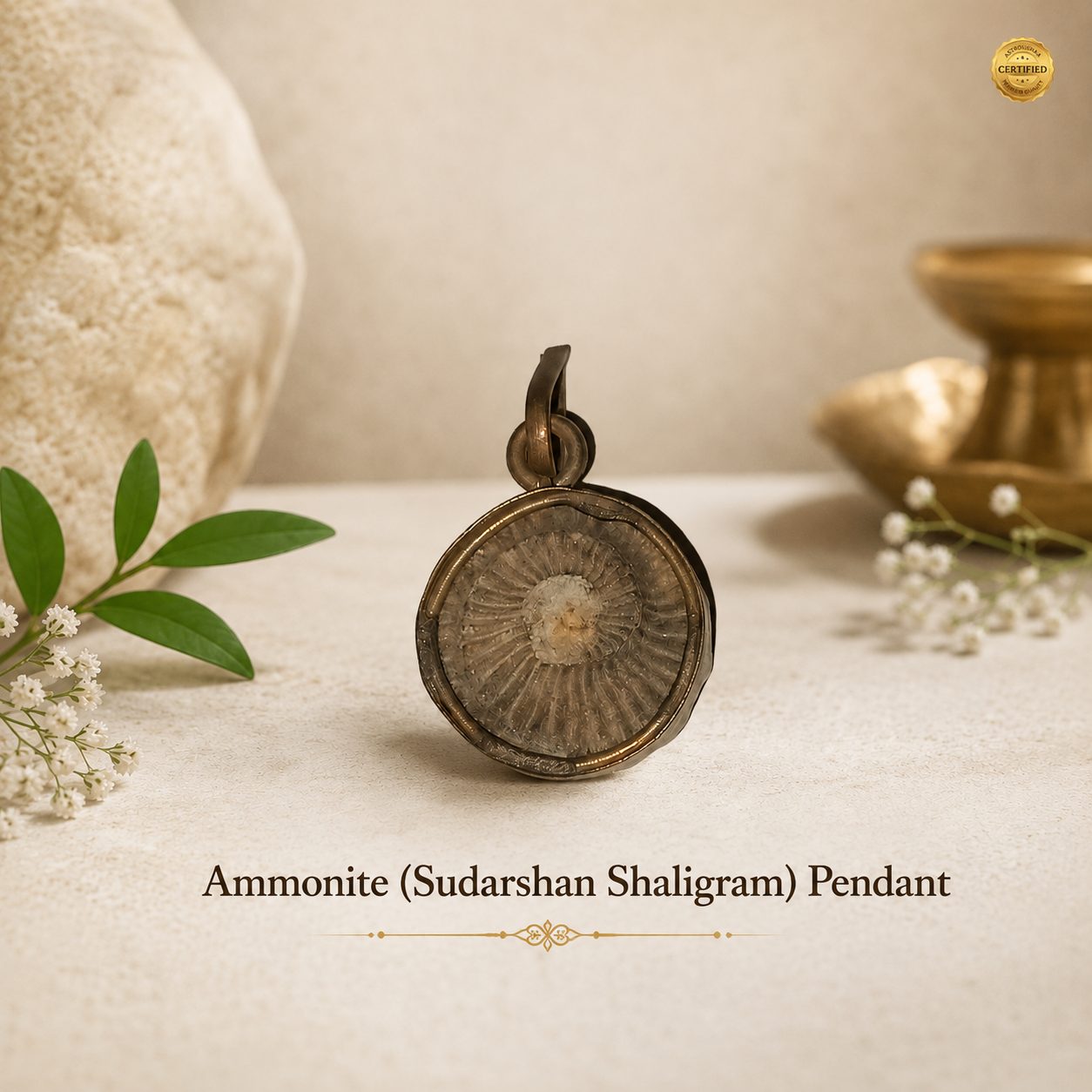 Ammonite (Sudarshan Shaligram) Pendant